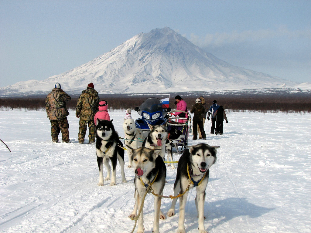 Заголовок